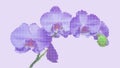 Exclusive. A sprig of purple orchid, embroidered with a cross. Vector.